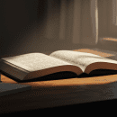 Ihr Weg zum eigenen Buch vom Manuskript zum Druck